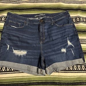 NWT gorgeous dark lightly distressed jean shorts